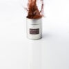 Cacao en Poudre – Image 2