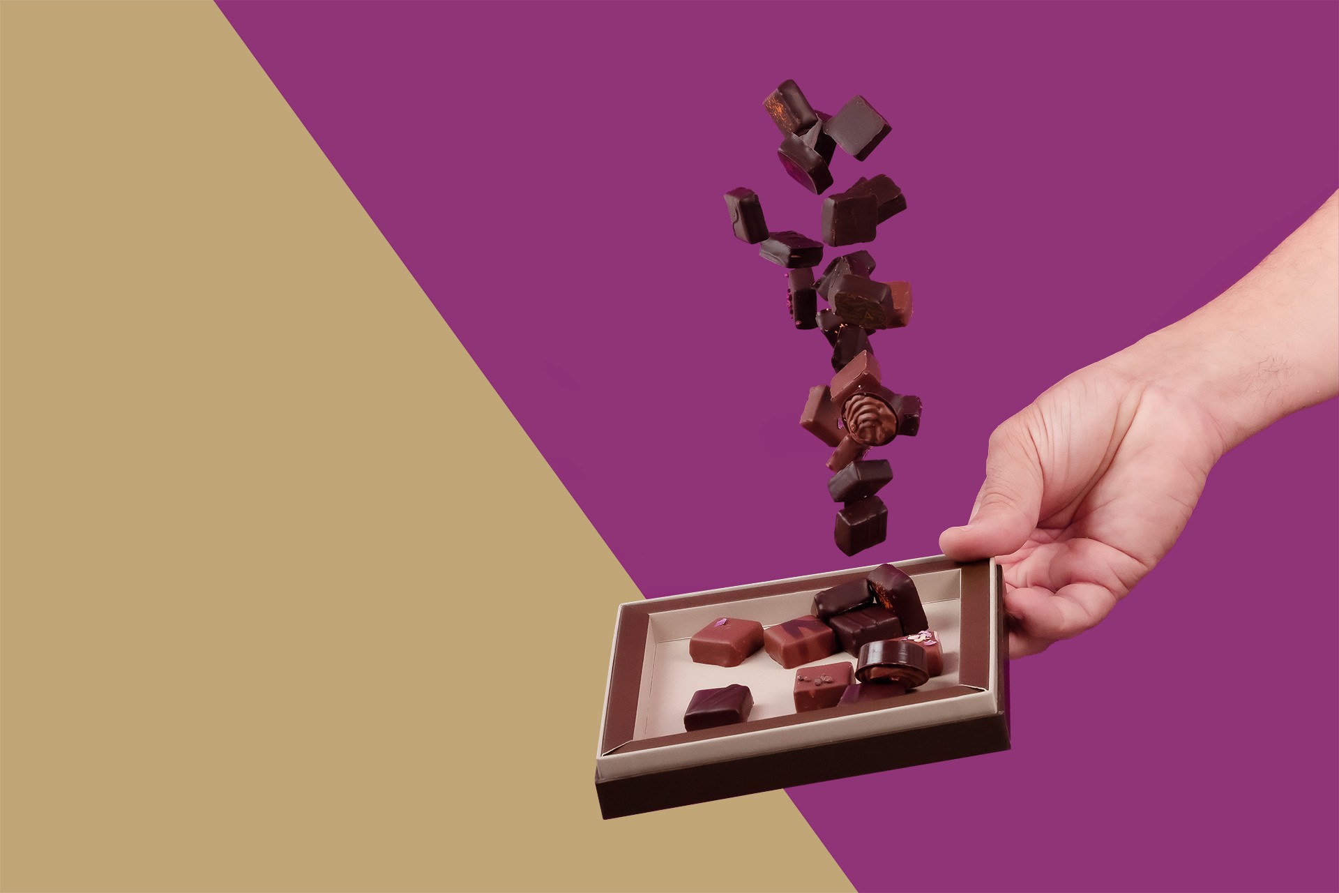 Coffret chocolat 2 niveaux : Les Signatures & Les Fruités  Maison Dufoux -  Artisan Chocolatier en Bourgogne et à Lyon