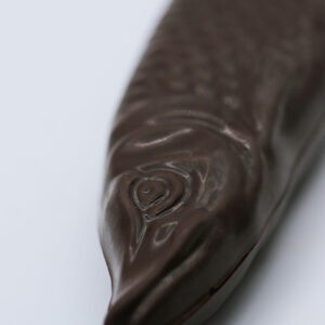 Poisson gourmand noir