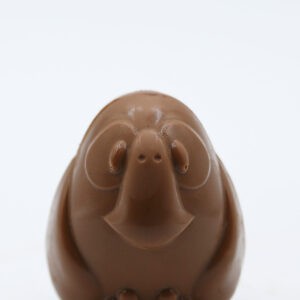 Piou Piou - Chocolat Lait