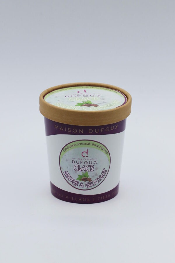 Glace Menthe / Chocolat – Image 2