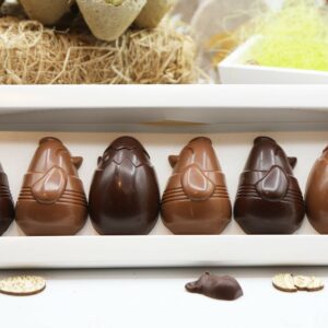 Coffrets de Poussins