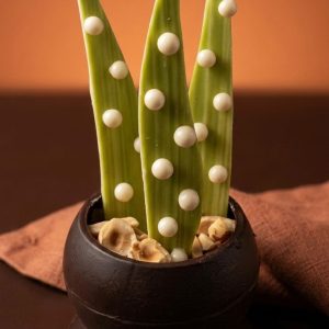 photo de muguet dans un décor